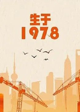 生于1978海报